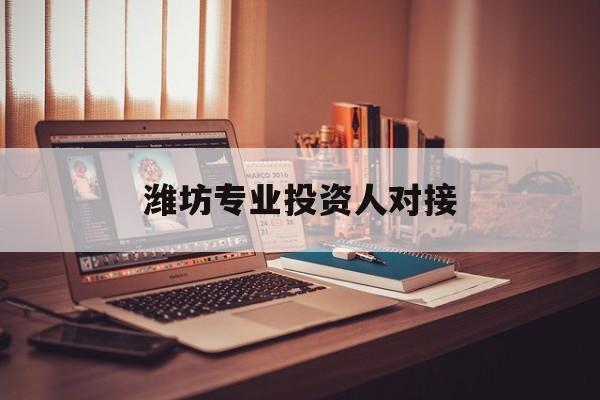 阿勒泰市潍坊专业投资人对接(潍坊专业投资人对接中心)